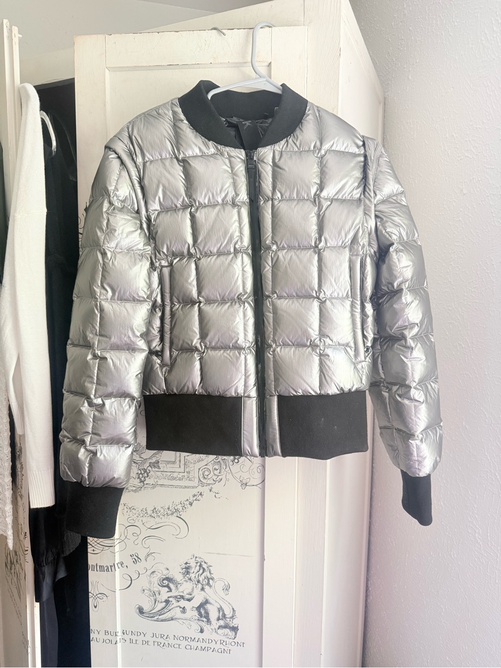 Wore 1x - Pristine Rudsak Limited Edition Raven Pewter Goosedown Puffer Jacket